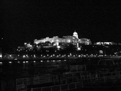 Royal Palace at Night