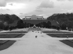 Palace Gardens in a gale force wind.