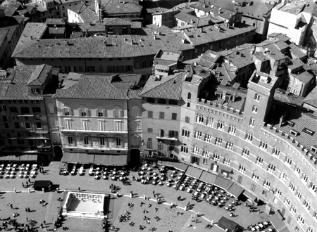 Piazza Del Campo