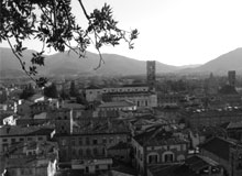 View of Lucca