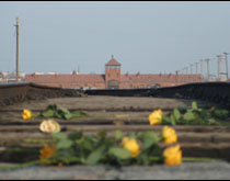 Birkenau Concentration Camp 