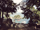 img03